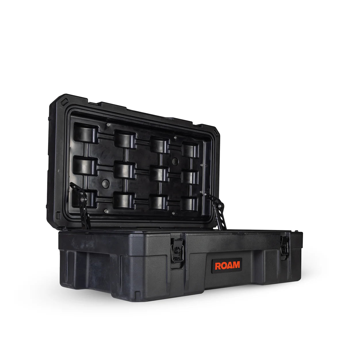 ROAM 66L RUGGED CASE