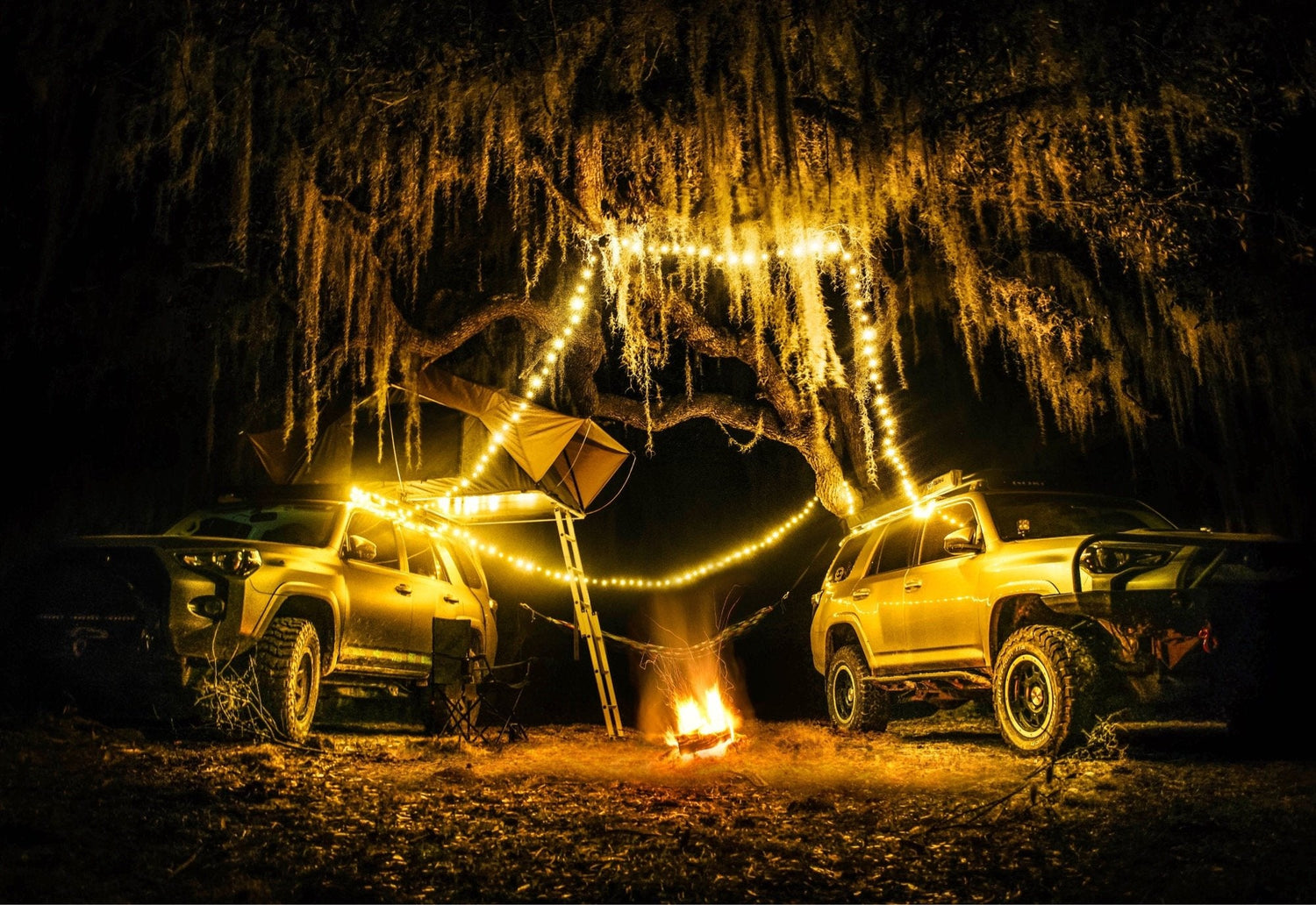 ILLUMINATE
