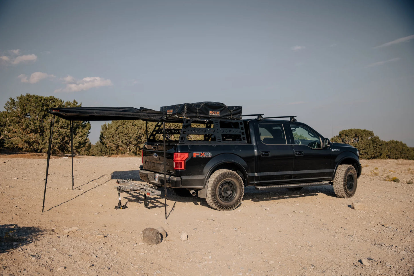 ARC 270 AWNING (DRIVER)